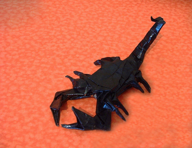 Origami Scorpion by Robert J. Lang folded by Gilad Aharoni