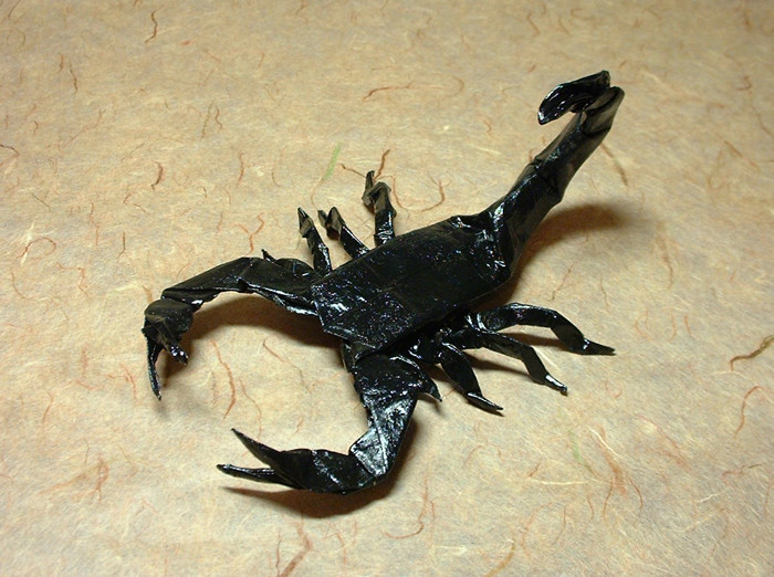 Origami Scorpion varileg by Robert J. Lang folded by Gilad Aharoni