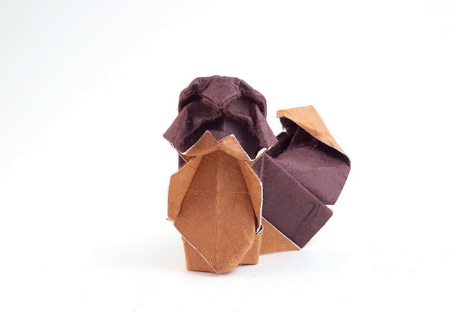 Origami Shin tzu by Seth M. Friedman folded by Gilad Aharoni