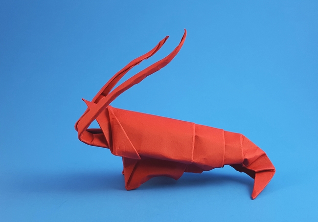 Origami Shrimp by Akira Yoshizawa folded by Gilad Aharoni
