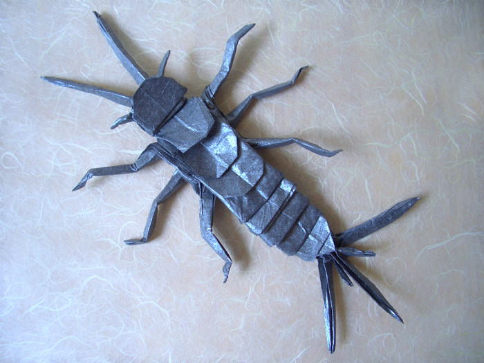 Bug Silverfish