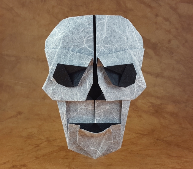 Origami Skull by Steven Casey folded by Gilad Aharoni
