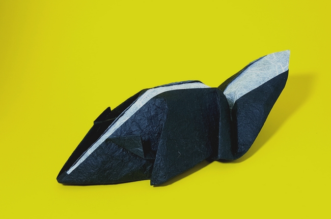 Origami Skunk by Zsolt Sebok folded by Gilad Aharoni