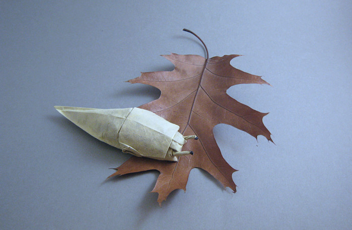 Origami Banana Slug by Michael G. LaFosse folded by Gilad Aharoni