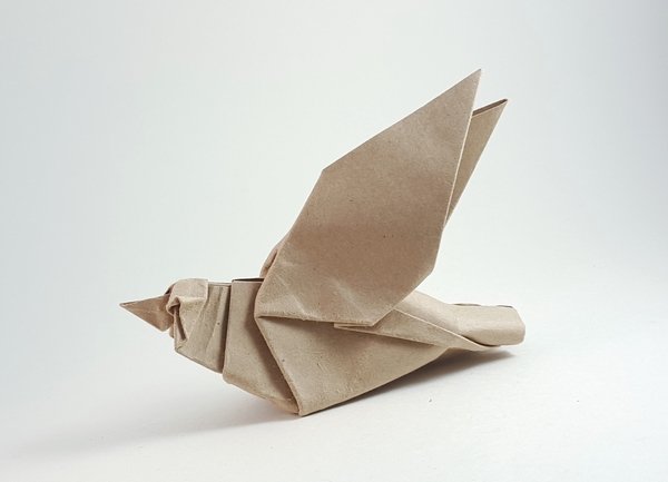 Origami Sparrow by Seth M. Friedman folded by Gilad Aharoni