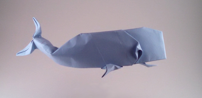 Origami Sperm whale by John Montroll folded by Gilad Aharoni