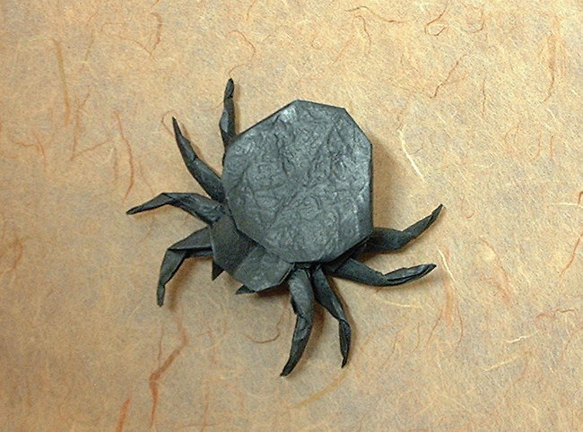 Origami Spider by John Montroll folded by Gilad Aharoni