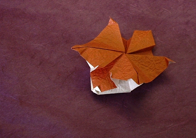 Origami Flying squirrel by Kunihiko Kasahara folded by Gilad Aharoni