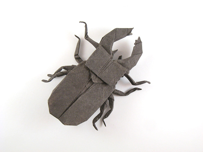 Origami Stag beetle by Peter Budai folded by Gilad Aharoni