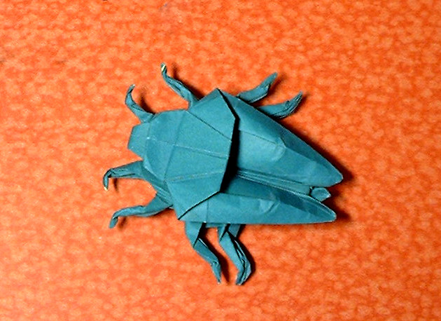 Origami Stink bug by John Montroll folded by Gilad Aharoni