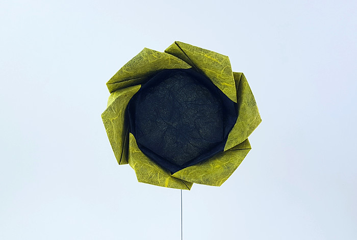 Origami Sunflower by Yara Yagi folded by Gilad Aharoni
