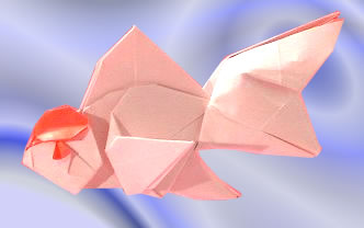 Origami Tancho Oranda Ver. 2 by Ronald Koh folded by Gilad Aharoni