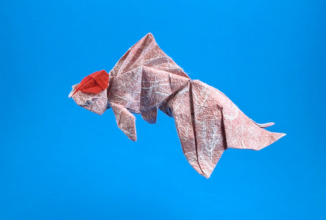 Origami Tancho Oranda Ver. 1 by Ronald Koh folded by Gilad Aharoni