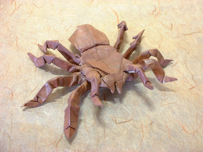Origami Tarantula by Robert J. Lang folded by Gilad Aharoni