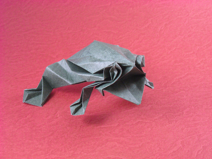Origami Toad by Jacky Chan folded by Gilad Aharoni