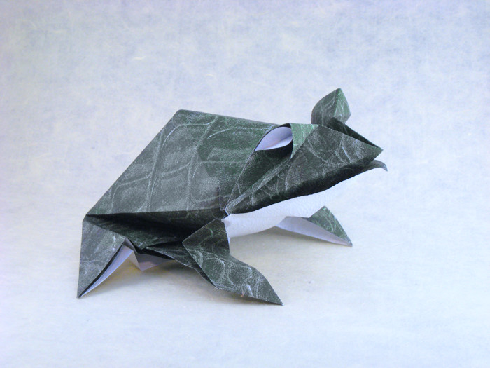 Origami Toad by Roman Diaz folded by Gilad Aharoni