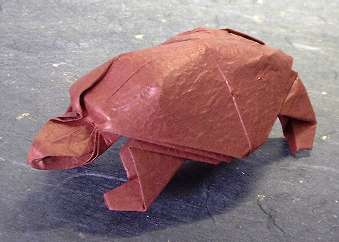 Origami Turtle by Robert J. Lang folded by Gilad Aharoni