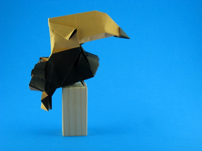 Origami Toucan by Hoang Tien Quyet folded by Gilad Aharoni