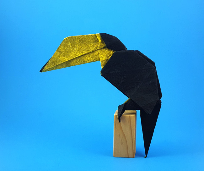 Origami Toucan by Fuchimoto Muneji folded by Gilad Aharoni
