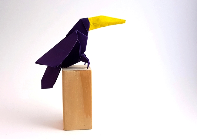 Origami Toucan by Hsi-Min Tai folded by Gilad Aharoni