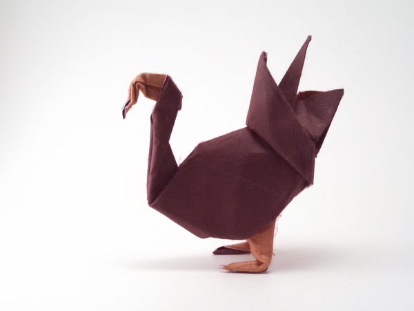 Origami Turkey by Juan Lopez Figueroa folded by Gilad Aharoni