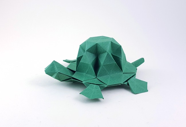 Origami Turtle by Beth Johnson folded by Gilad Aharoni