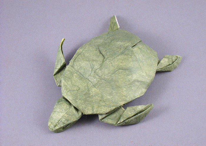 Origami Turtle by Gerard Ty Sovann folded by Gilad Aharoni