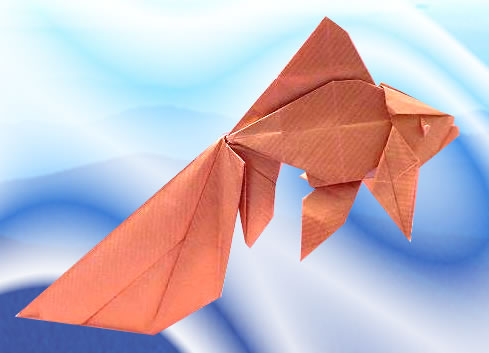 Origami Veiltail by Ronald Koh folded by Gilad Aharoni