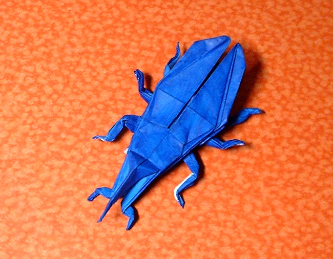 Origami Weevil by John Montroll folded by Gilad Aharoni