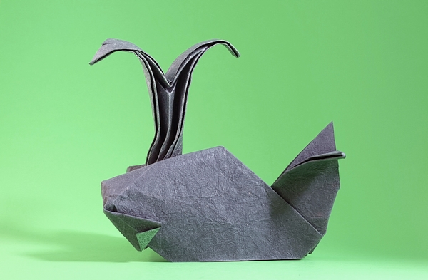 Origami Whale with spout by Xin Can (Ryan) Dong folded by Gilad Aharoni