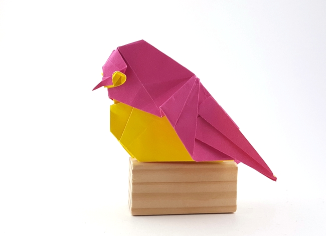 Origami Japanese white-eye by Tsuruta Yoshimasa folded by Gilad Aharoni