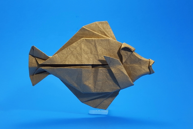 Origami Yellow tang for Mariko by Michael G. LaFosse folded by Gilad Aharoni