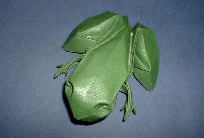 wet folded origami frog by David Derudas