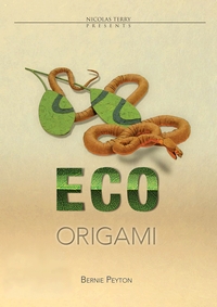 Cover of Eco Origami by Bernie Peyton
