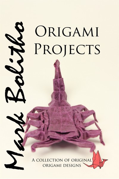 Origami Projects - 3rd Edition book cover