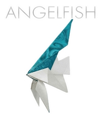 Cover of Angelfish by Kashiwamura Takuro
