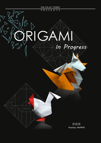 Cover of Origami in Progress by Kingsley Hwang