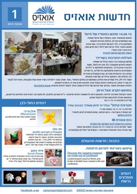Cover of OrigamIsrael Newsletter 1