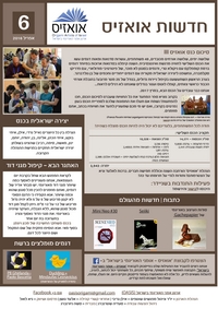 Cover of OrigamIsrael Newsletter 6