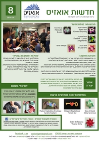 Cover of OrigamIsrael Newsletter 8