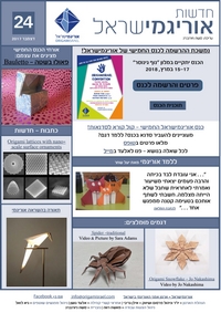Cover of OrigamIsrael Newsletter 24