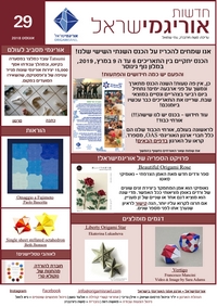 Cover of OrigamIsrael Newsletter 29