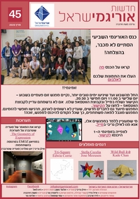 Cover of OrigamIsrael Newsletter 45