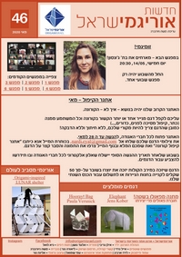 Cover of OrigamIsrael Newsletter 46