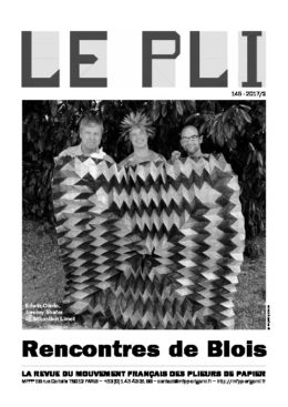 Cover of Le Pli 145