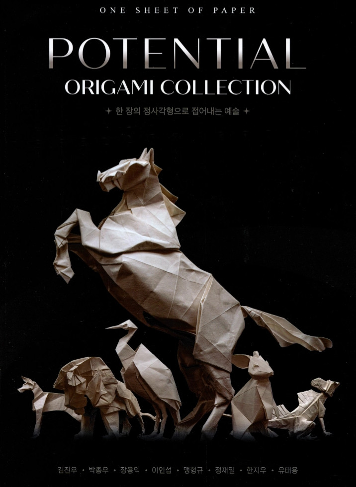 Potential Origami Collection book cover