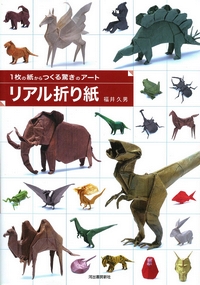 Cover of Real Origami by Fukui Hisao