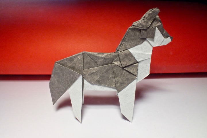 Origami Husky by Chen Xiao on giladorigami.com