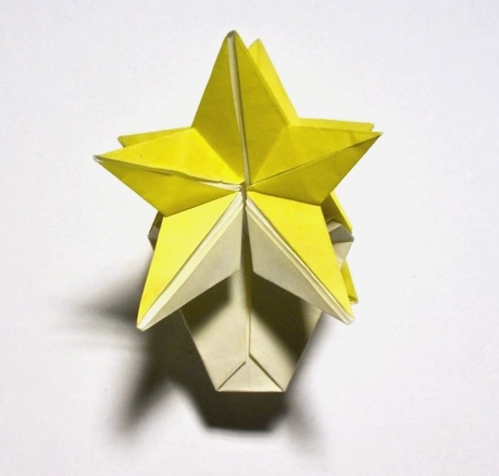 Origami Star flowers by Fred Rohm on giladorigami.com