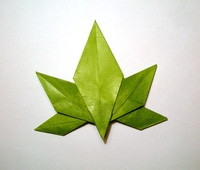 Origami Japanese maple leaf by Satoshi Kamiya on giladorigami.com